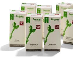 AVENA MG 100ML FITOMEDICAL - Lovesano
