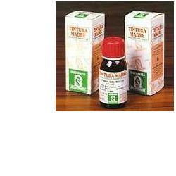 Castano India 52 50ml Tm - Lovesano