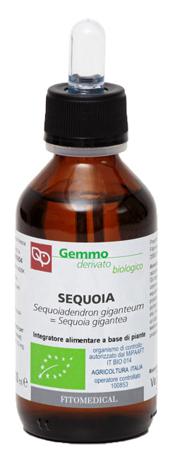 Sequoia Macerato Glicerico 100 Ml Bio - Lovesano