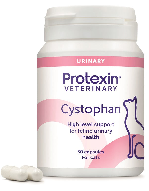 Cystophan 30 Capsule - Lovesano