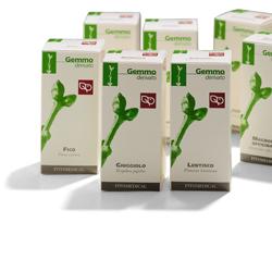 SEGALE 100ML MG FTM - Lovesano