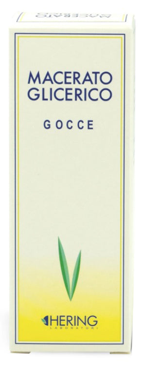 Tilia Tomentosa Gemme Macerato Glicerico 60 Ml - Lovesano