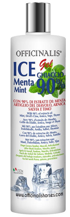 Ice Gel 90% 250 Ml - Lovesano