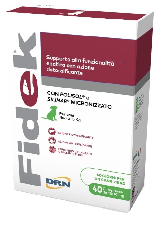 Drn Fidek 40 Compresse 1 G - Lovesano