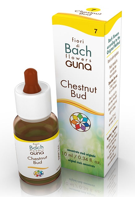 Chestnut Bud Gocce 10 Ml - Lovesano