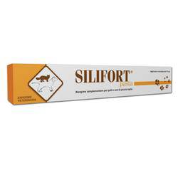 SILIFORT PASTA OS SIRINGA 30G - Lovesano