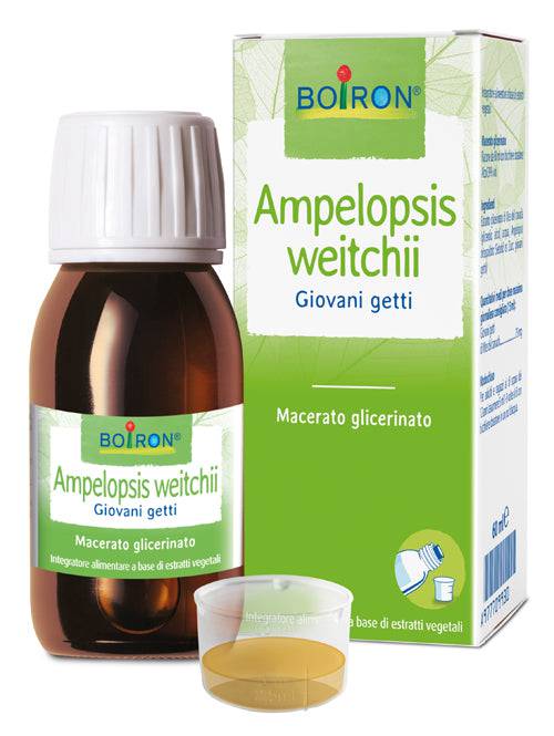 AMPELOPSIS WEI MG 60ML INT - Lovesano