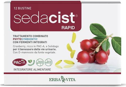 SEDACIST RAPID 6+6BUST - Lovesano