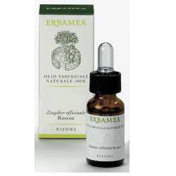 EUCALIPTO OLIO ESSENZ 10ML ERBAM - Lovesano