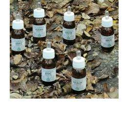 KA PLANTA OLIO MASS 30ML ALCHEM - Lovesano