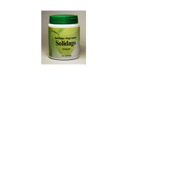 Solidago 60 Capsule - Lovesano 
