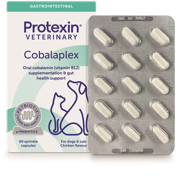 Cobalaplex 60 Capsule - Lovesano 