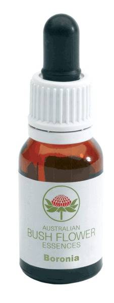 BORONIA AUSTRALIAN Gtt 15ml - Lovesano 