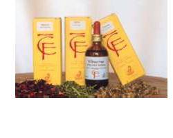 RIBES GEMME 50ML MG - Lovesano 
