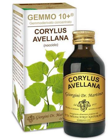 NOCCIOLO 100ML ANALCO GEM 10+ - Lovesano 