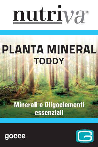 NUTRIVA PLANTA MINERAL TODDY 50M - Lovesano 