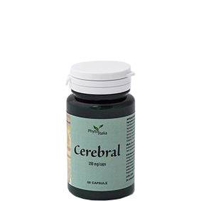 CEREBRAL AYURVED 60CPS - Lovesano 