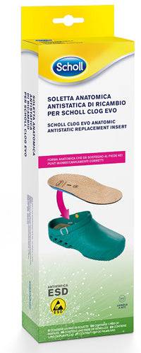 CLOG EVO ANAT ANT INS MIC37-38 - Lovesano 