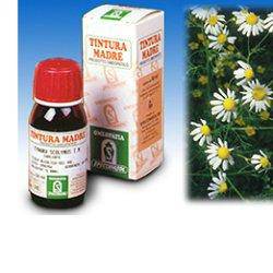 CAMOMILLA 7 TM 50ml - Lovesano 